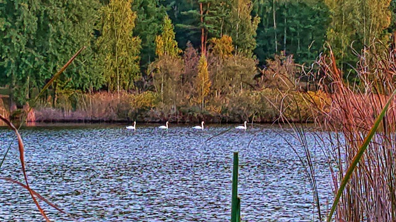 Pensiunea Lacul Mocearu Hotel Budesti  Luaran gambar