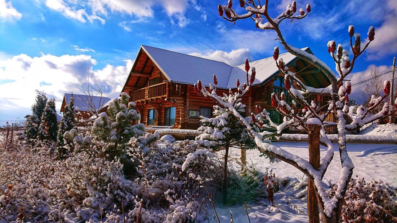 Pensiunea Lacul Mocearu Hotel Budesti  Luaran gambar